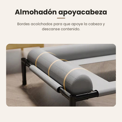 Cama Elevada para Perros y Gatos con Almohadón