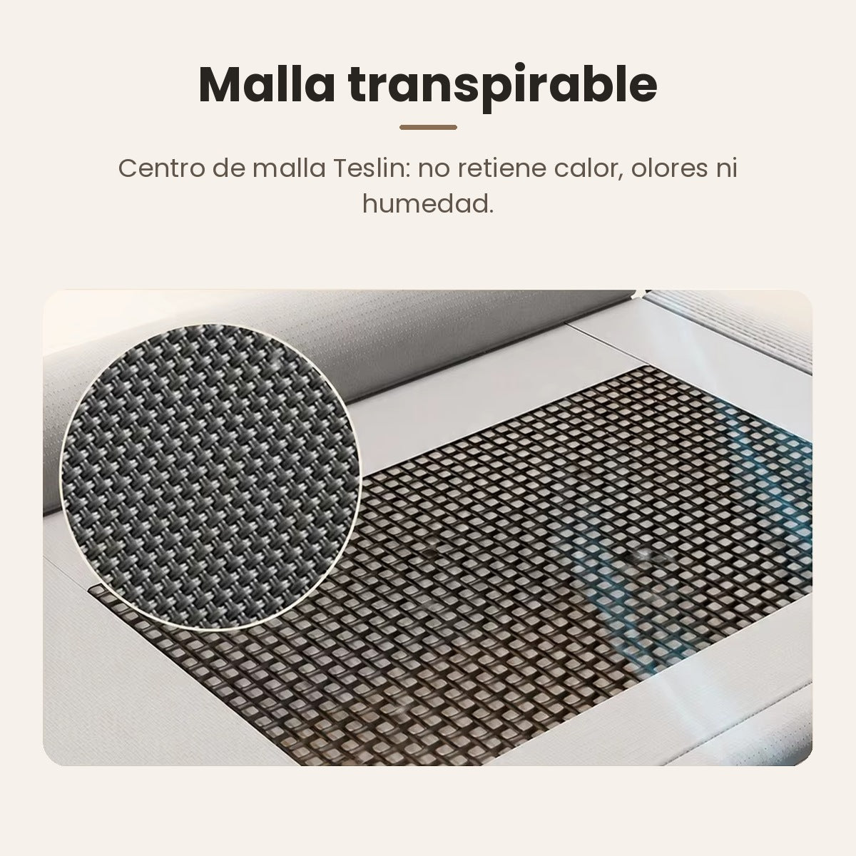 Cama Elevada para Perros y Gatos con Almohadón