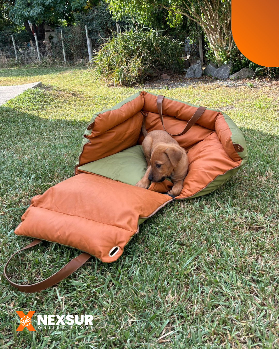 Asiento de Auto para Perros 3 en 1 — Bolso Transportador + Cama