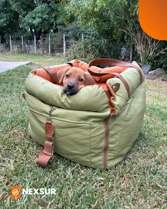 Asiento de Auto para Perros 3 en 1 — Bolso Transportador + Cama
