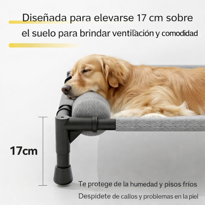 Cama Elevada Transpirable Para Perros