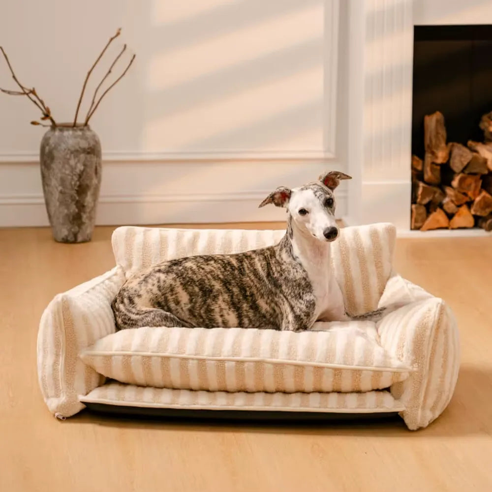 Cama Sofá Ortopédica XL Para Perros Rayada