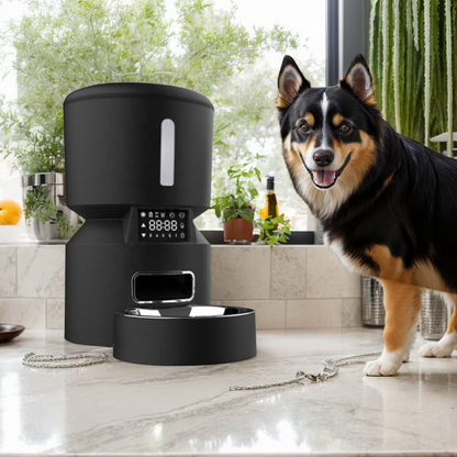 Comedero Automático Inteligente Con Wifi Para Mascotas