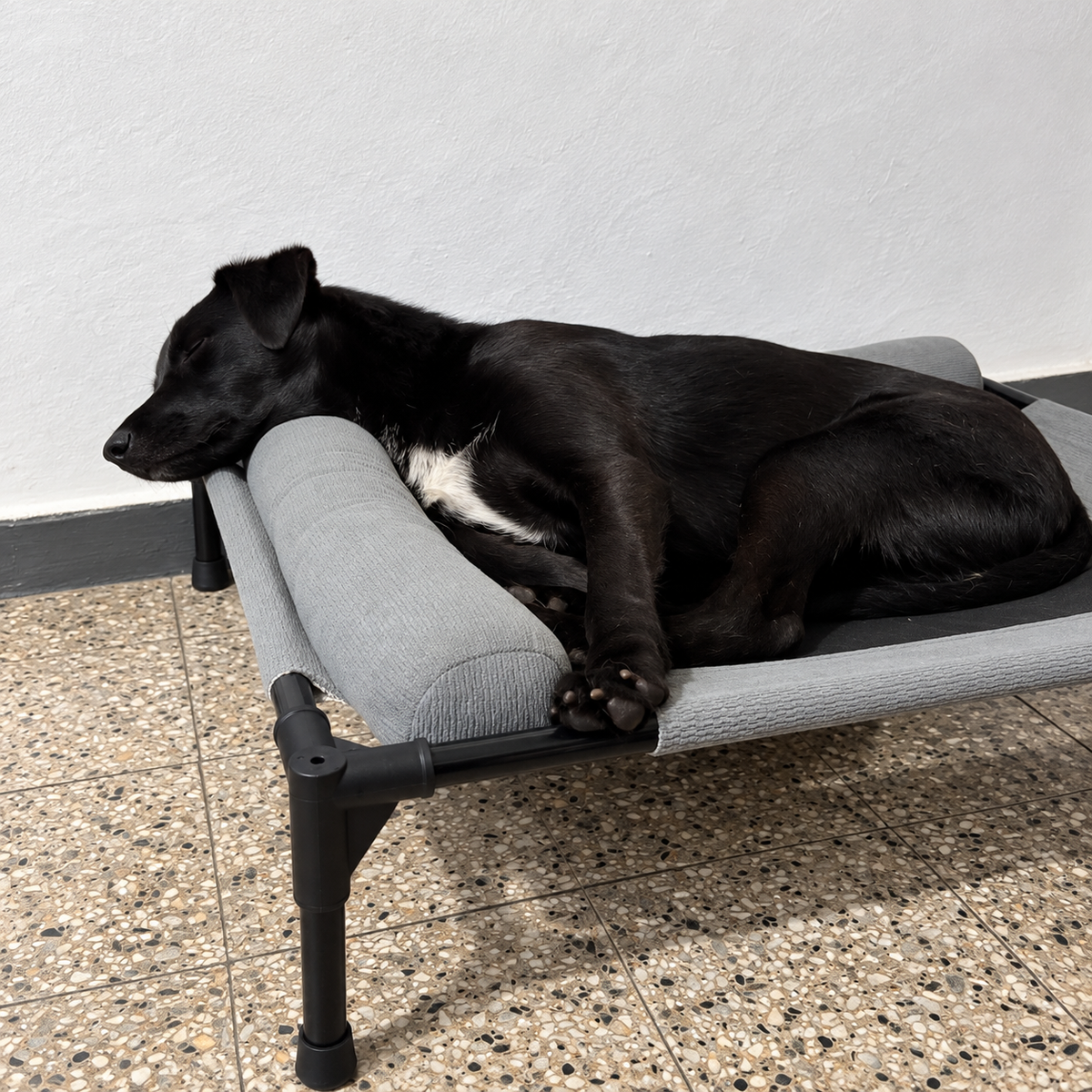 Cama Elevada para Perros y Gatos con Almohadón