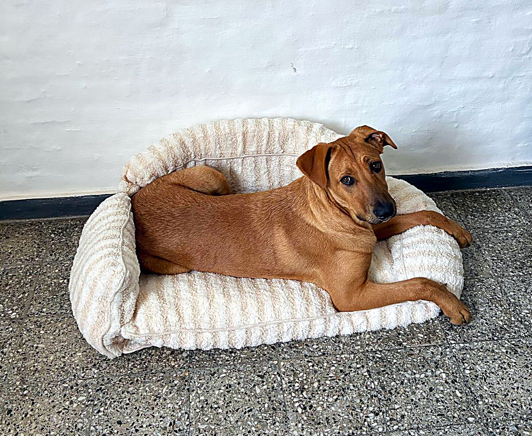 Cama Sofá Ortopédica XL Para Perros Rayada