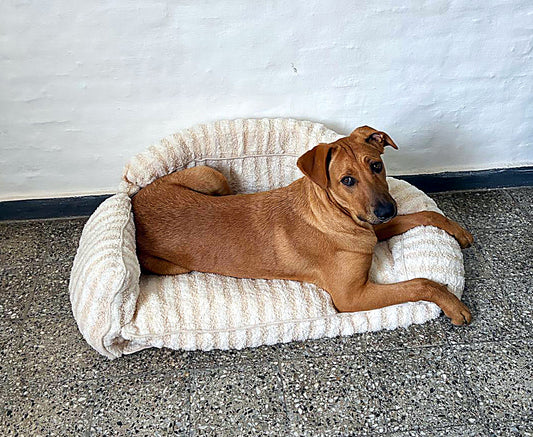 Cama Sofá Ortopédica XL Para Perros Rayada