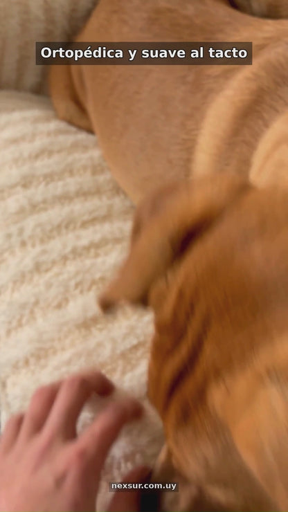 Cama Sofá Ortopédica XL Para Perros Rayada